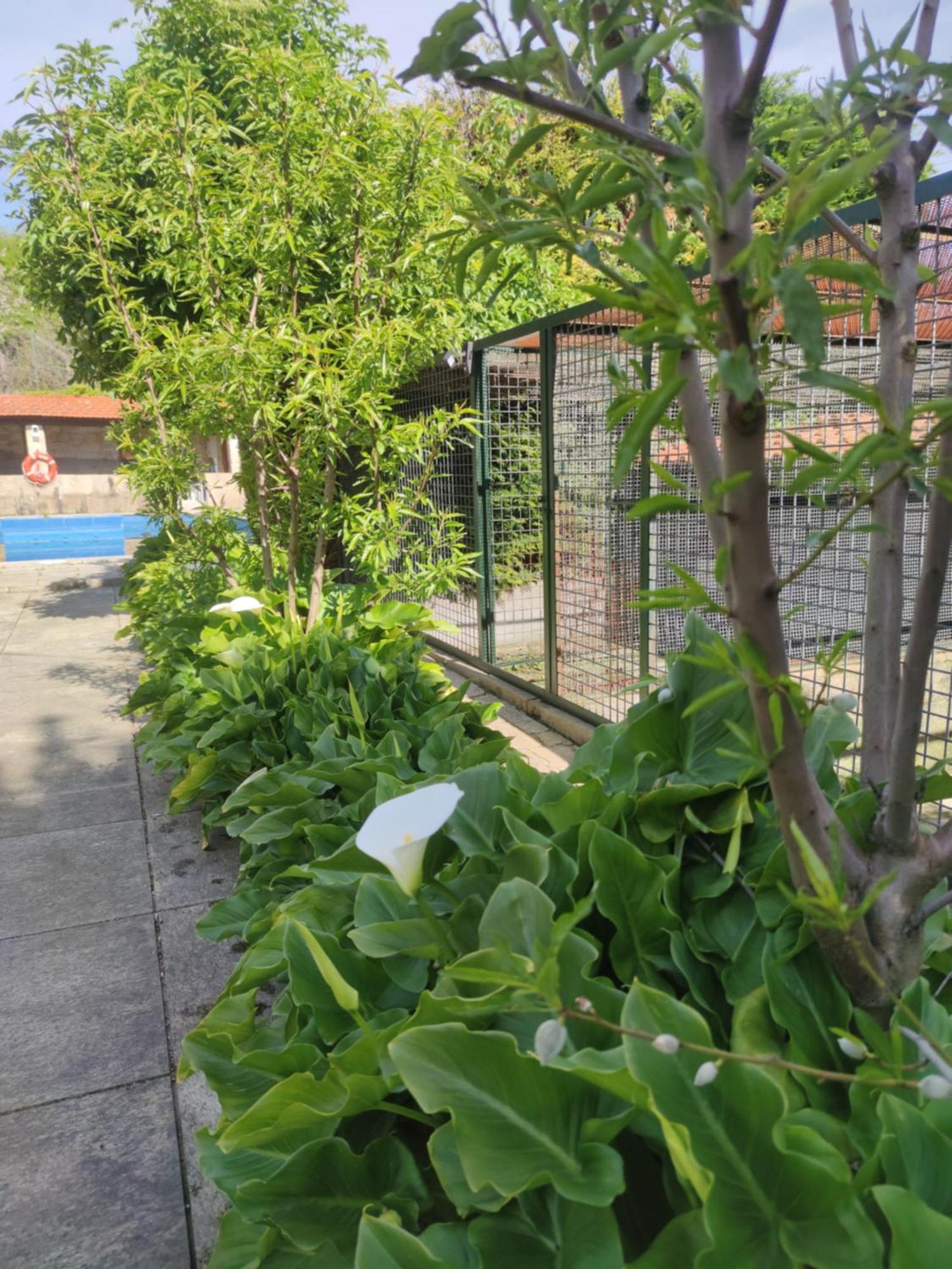 Real Santo Antonio Guest House Tarouca 외부 사진