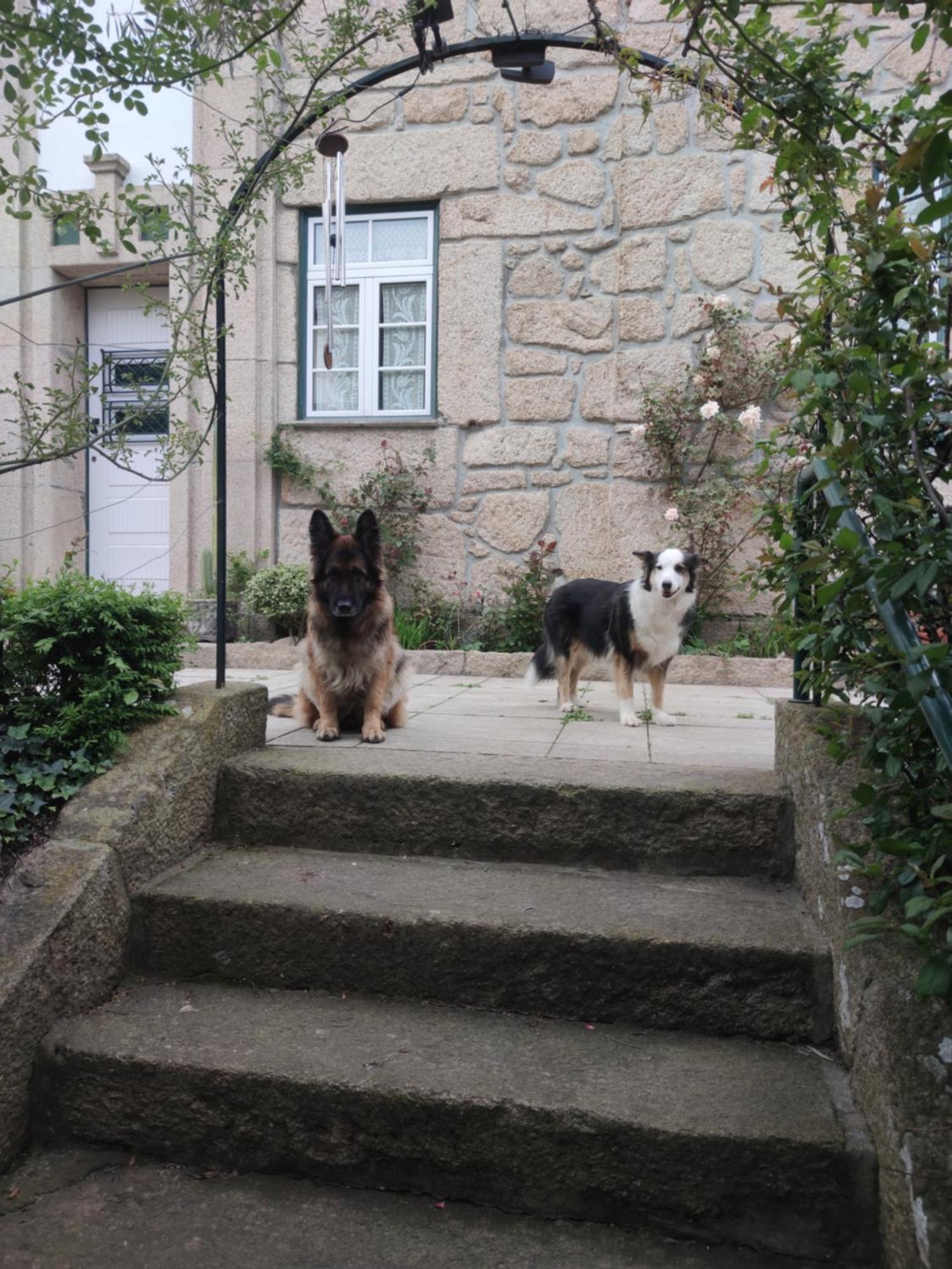 Real Santo Antonio Guest House Tarouca 외부 사진