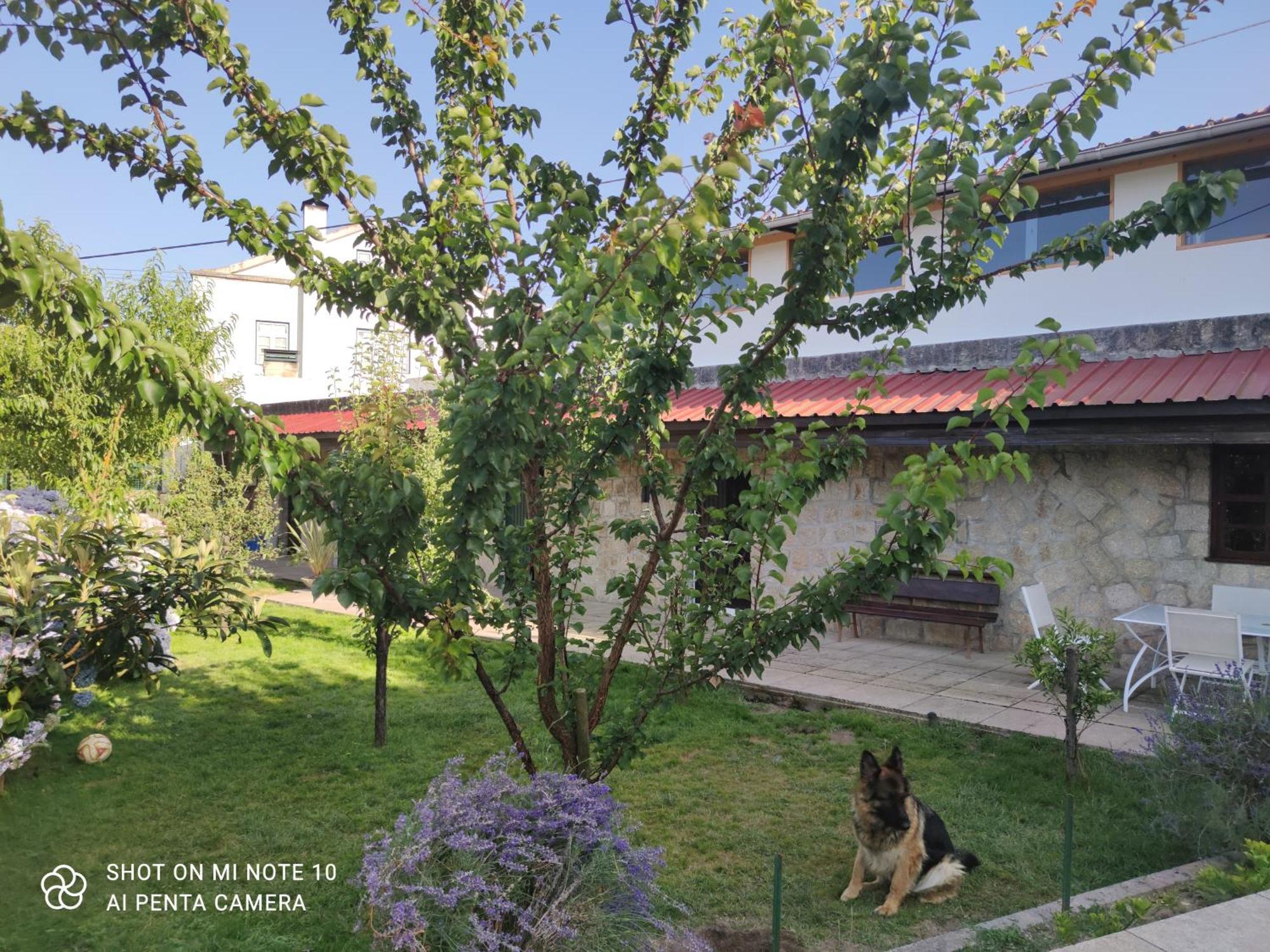 Real Santo Antonio Guest House Tarouca 외부 사진