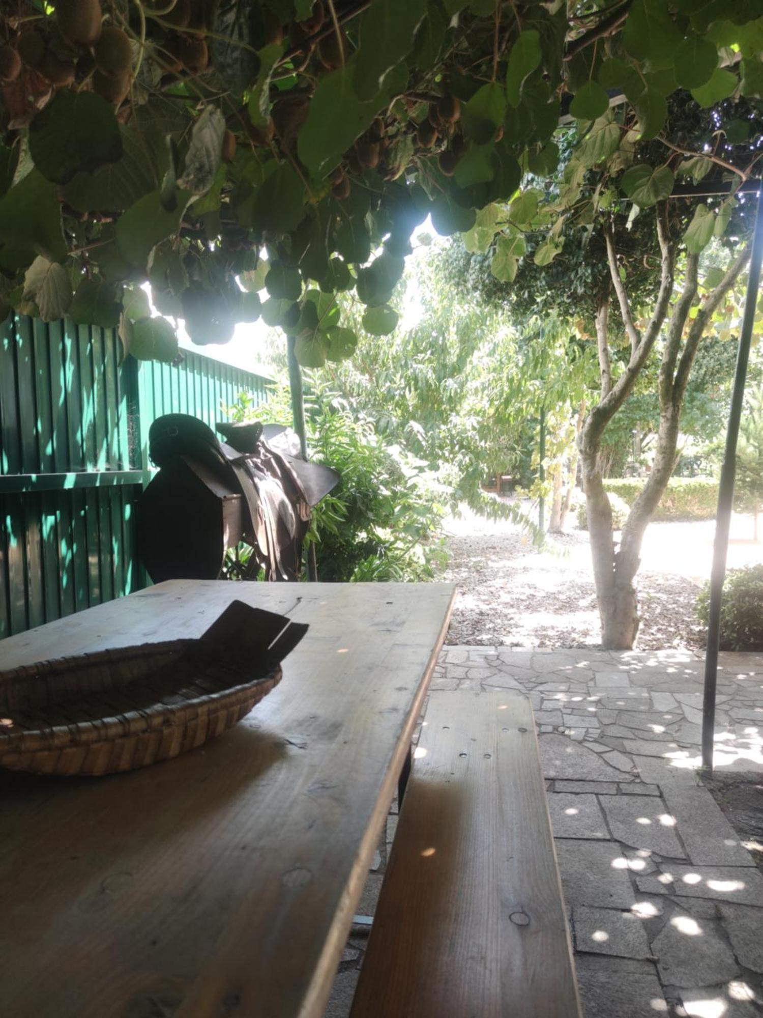 Real Santo Antonio Guest House Tarouca 외부 사진