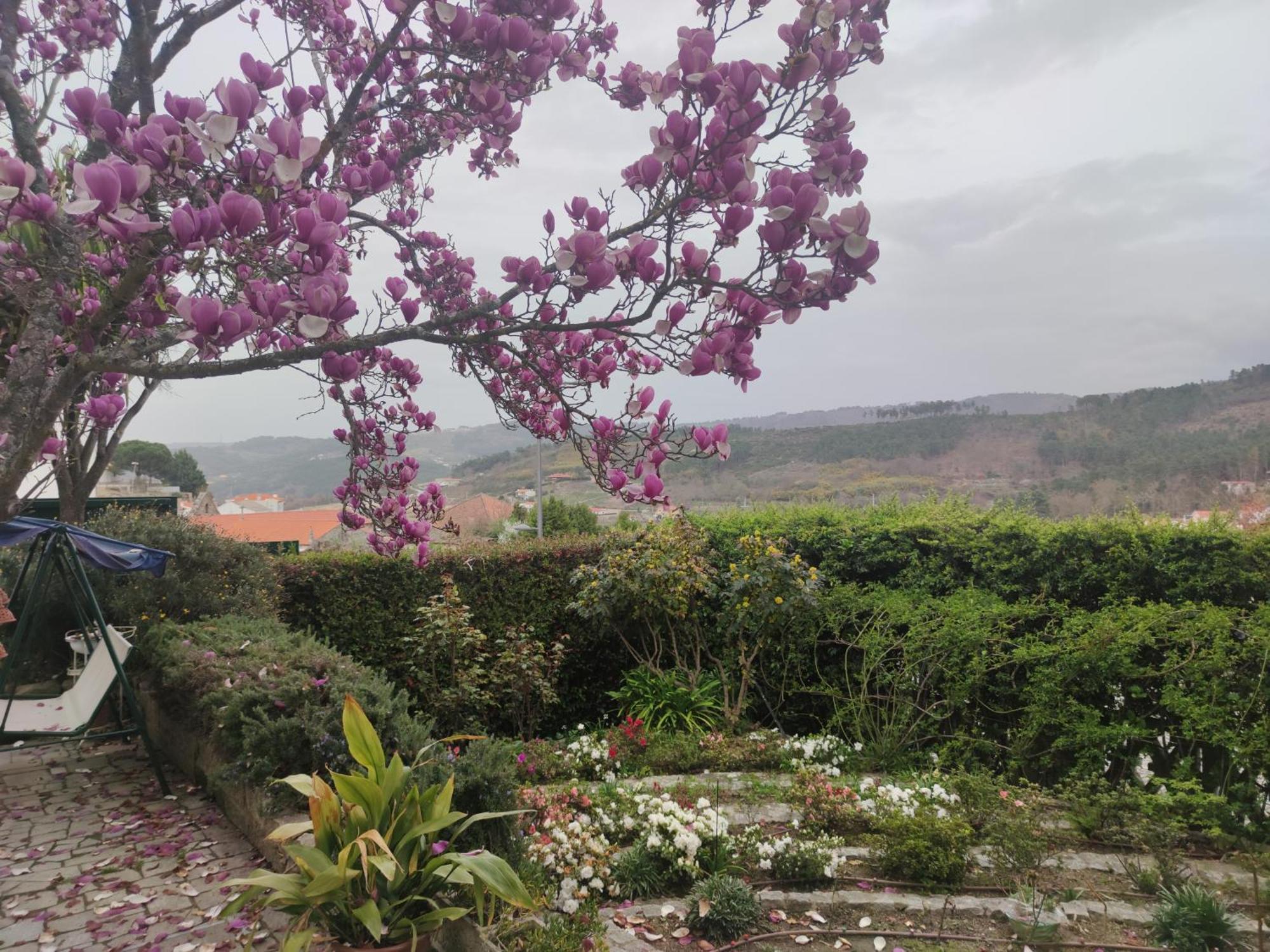 Real Santo Antonio Guest House Tarouca 외부 사진