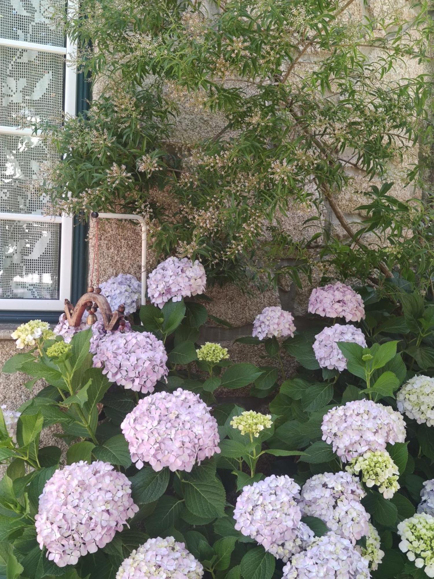 Real Santo Antonio Guest House Tarouca 외부 사진