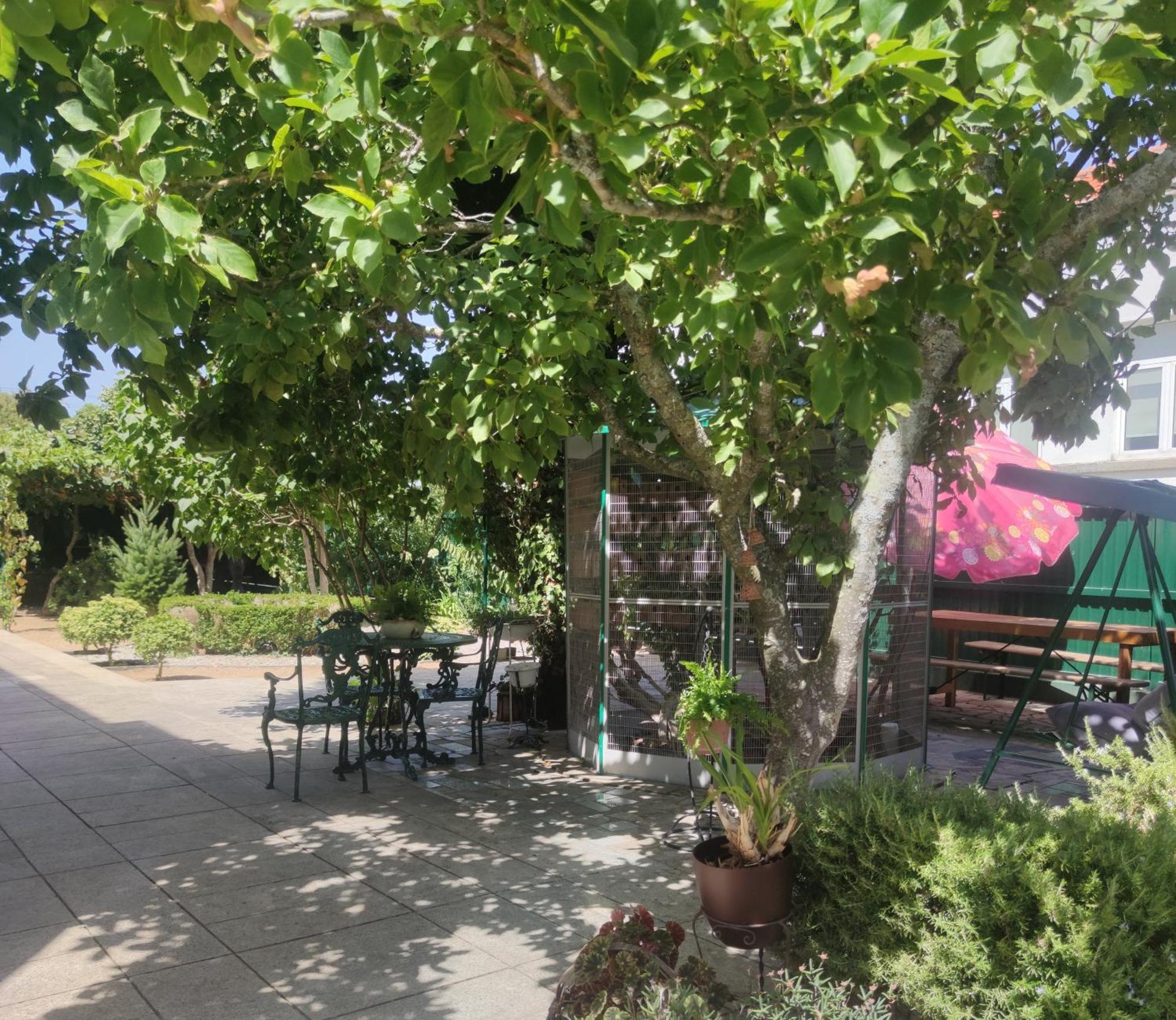 Real Santo Antonio Guest House Tarouca 외부 사진