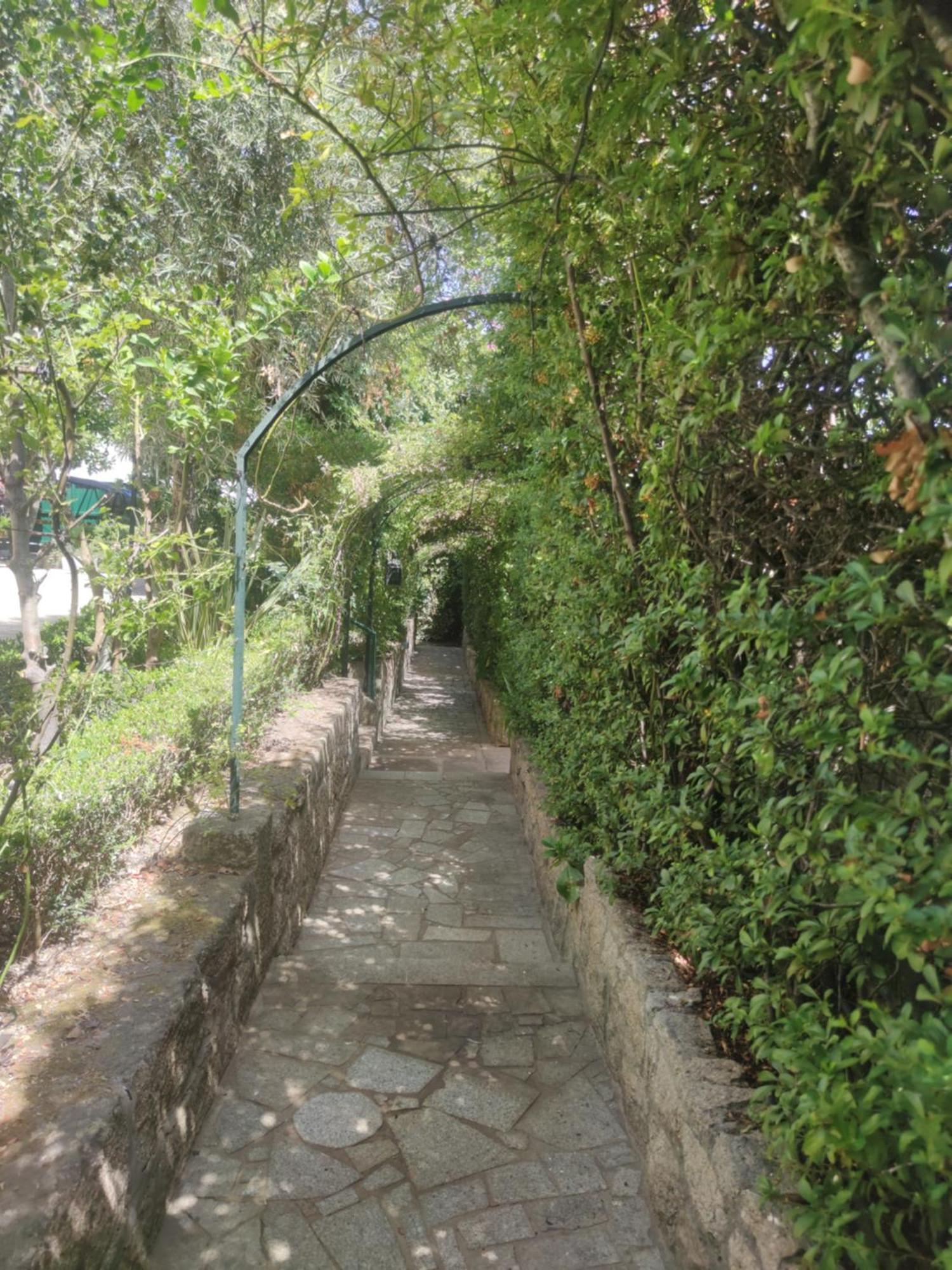 Real Santo Antonio Guest House Tarouca 외부 사진