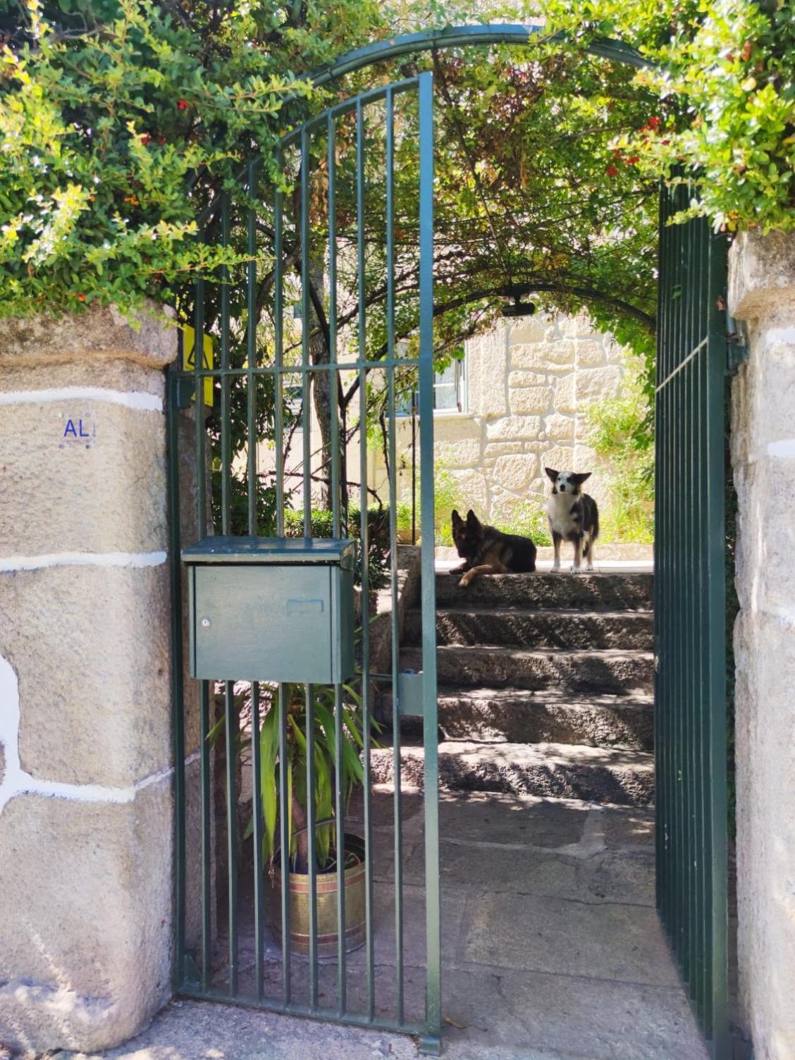 Real Santo Antonio Guest House Tarouca 외부 사진